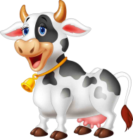 a white and black cow